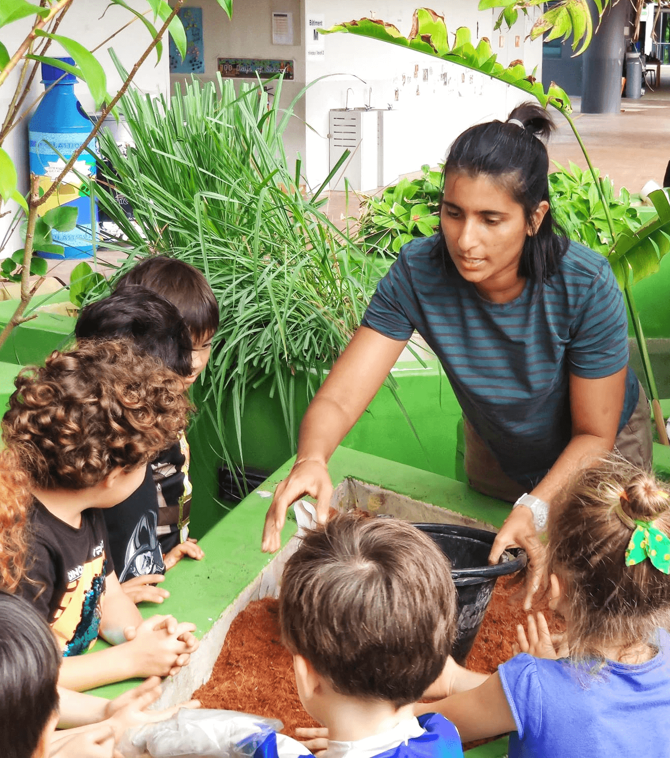 learning to build soil